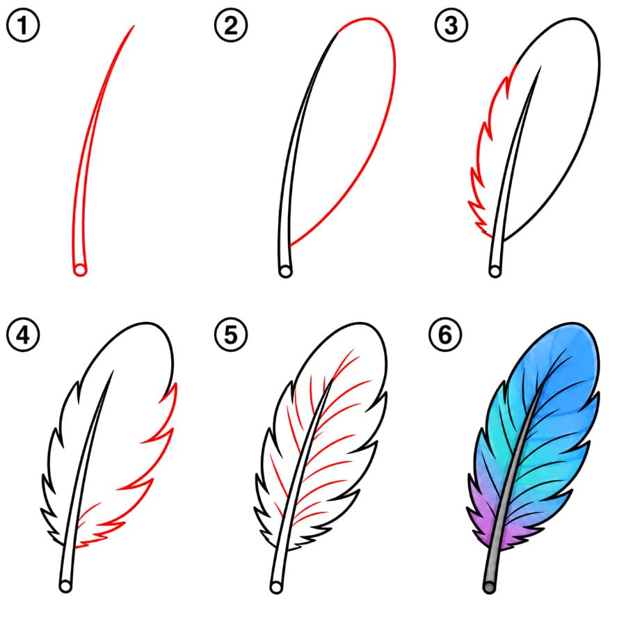 Plume modèle de base dessin