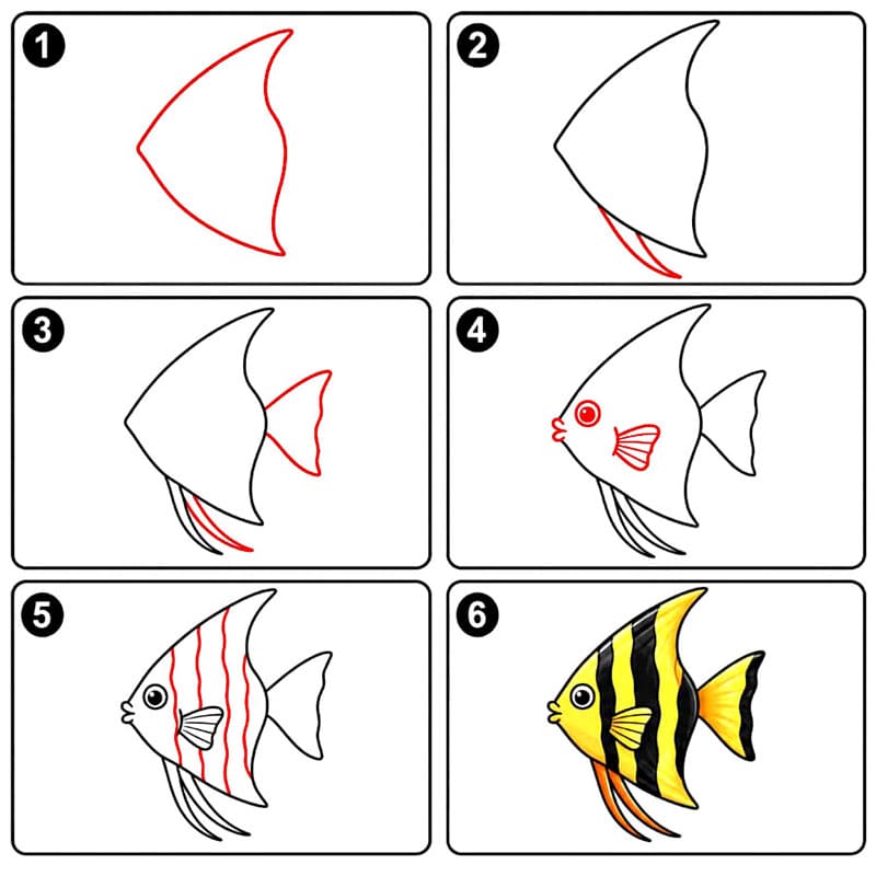 Poisson-ange aux grands yeux dessin
