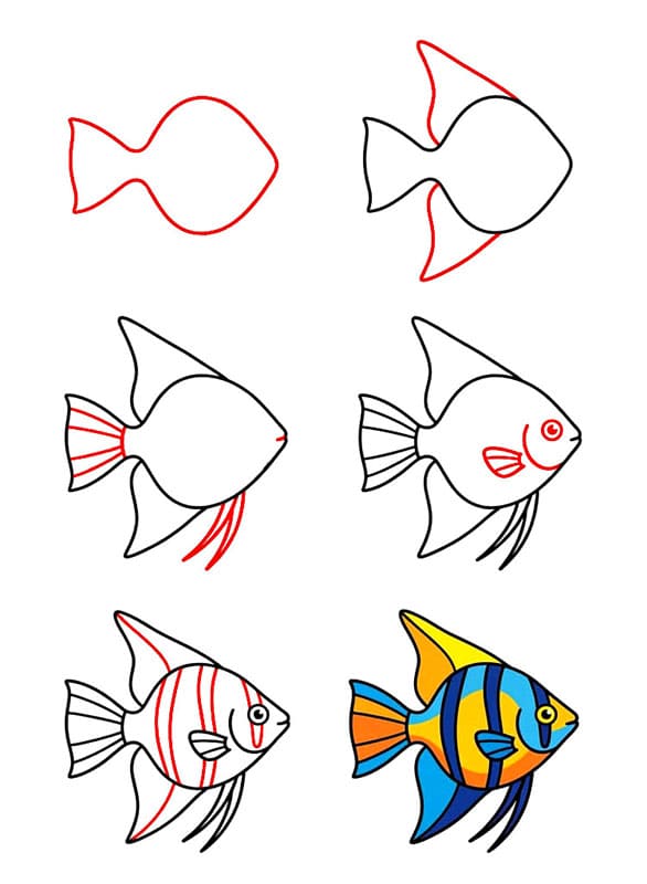 Poisson-ange d'aquarium dessin