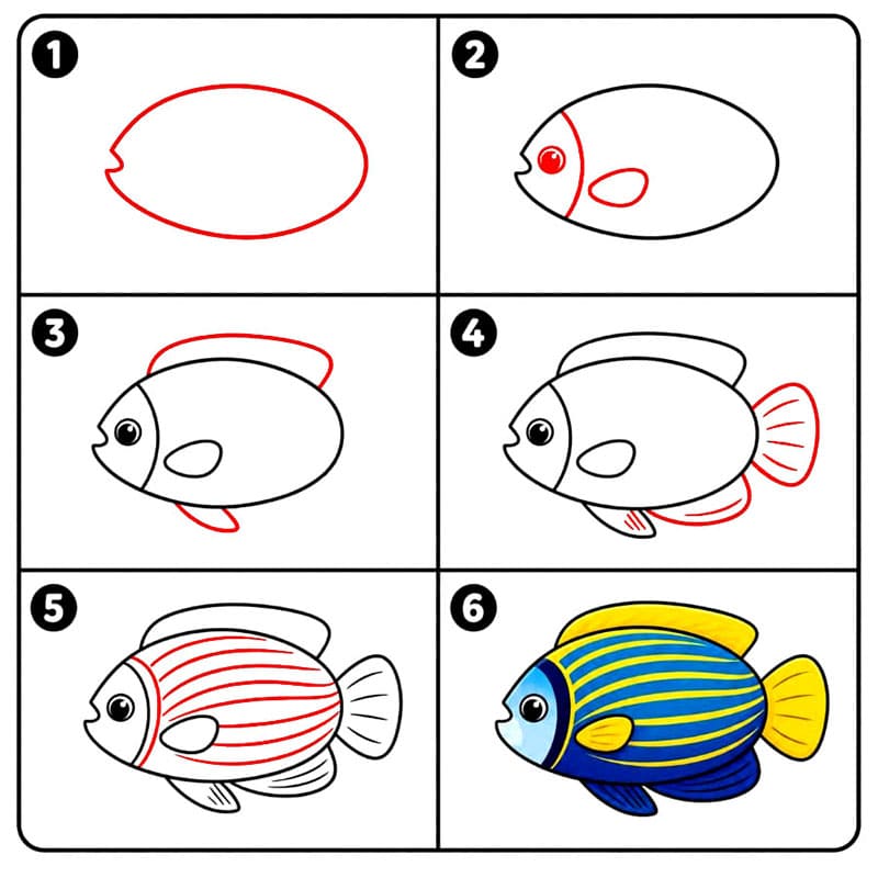 Poisson-ange empereur dessin