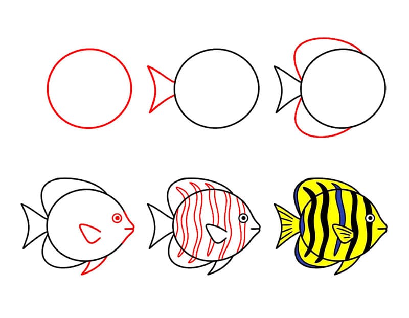 Poisson-ange jaune dessin