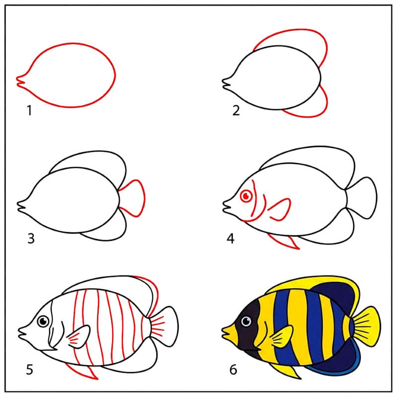 Poisson-ange Pomacanthus dessin