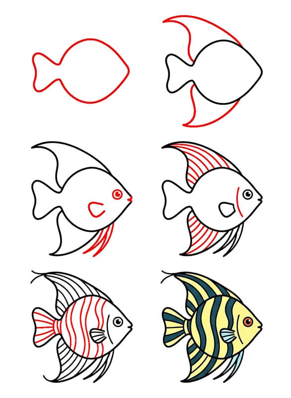 Poisson-ange rayé dessin