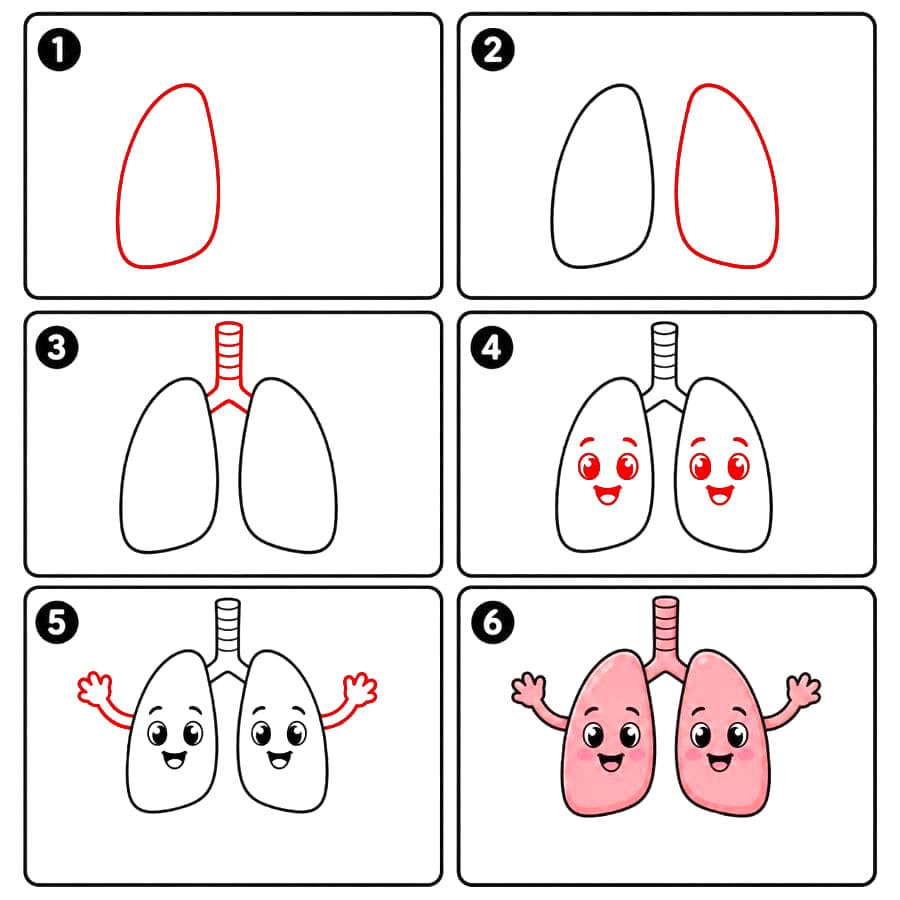 Poumons mignons dessin