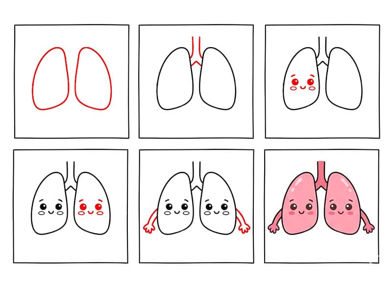 Poumons simple gratuite dessin