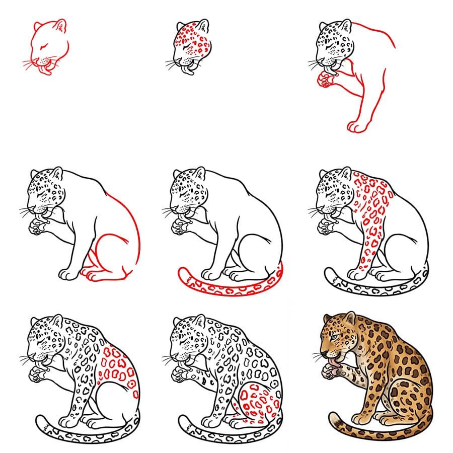 Léopard se léchant dessin