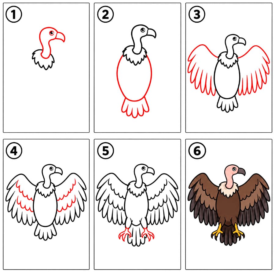 Vautour aux ailes ouvertes dessin