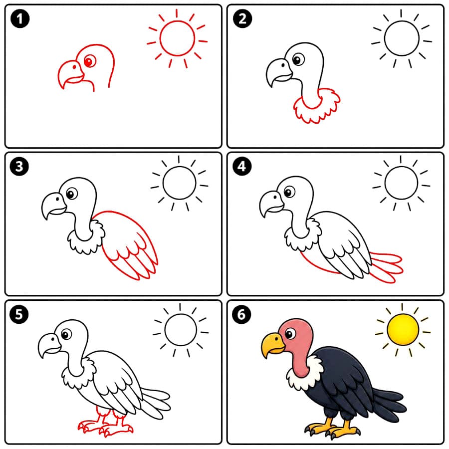 Vautour sous le soleil dessin