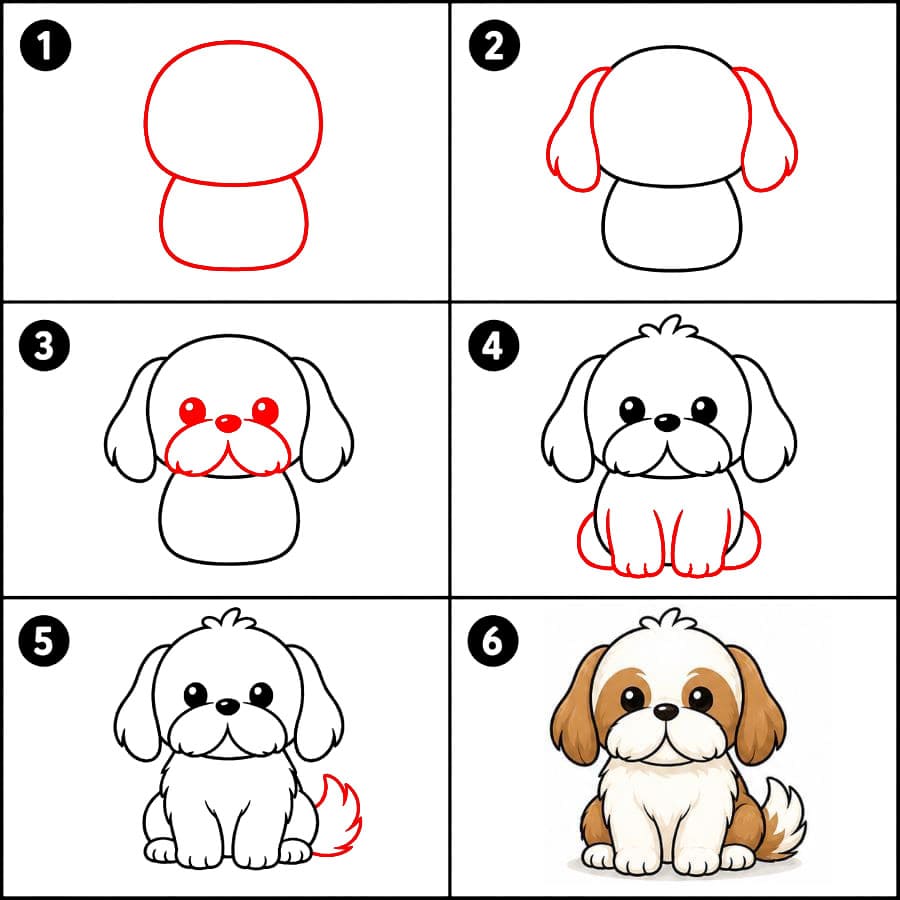 Joli Shih Tzu dessin