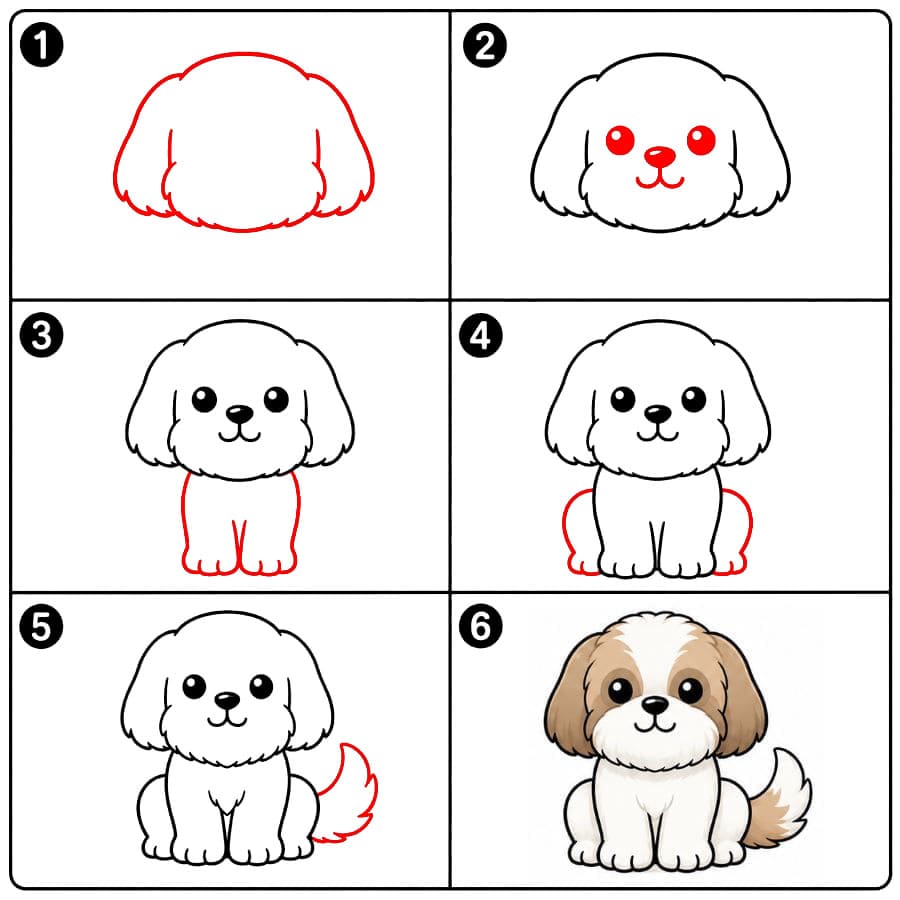 Shih Tzu assis dessin