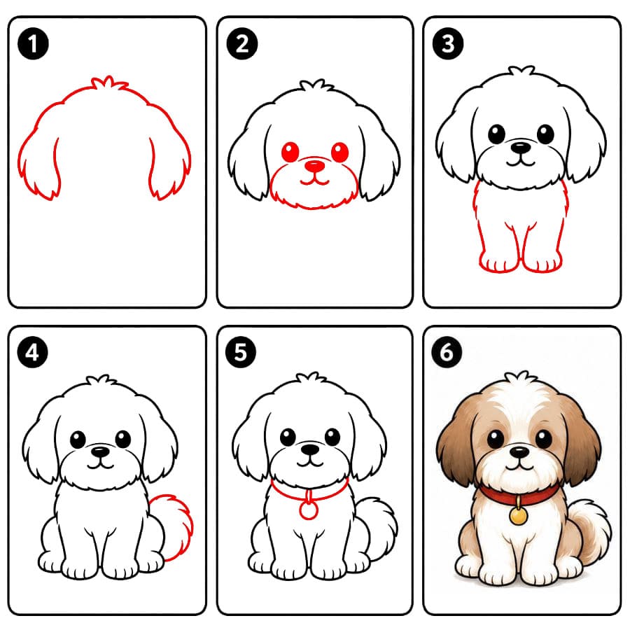 Shih Tzu avec un collier dessin
