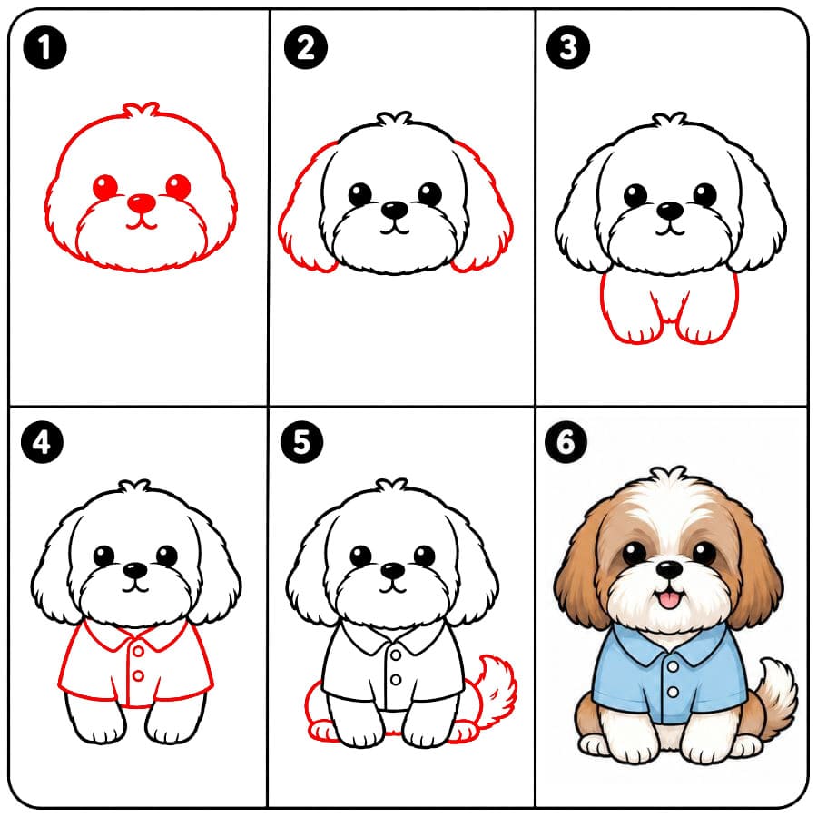 Shih Tzu avec une chemise dessin