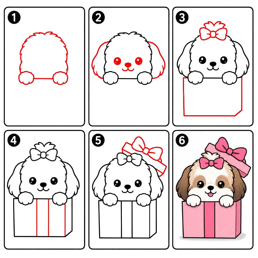 Shih Tzu dans un coffret cadeau dessin