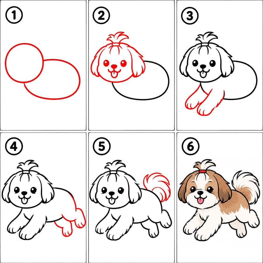 Shih Tzu qui court dessin