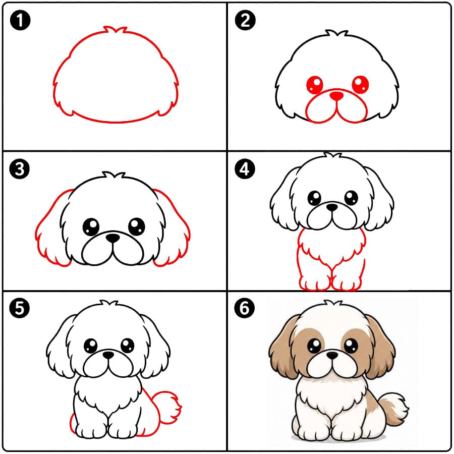 Shih Tzu style chibi dessin