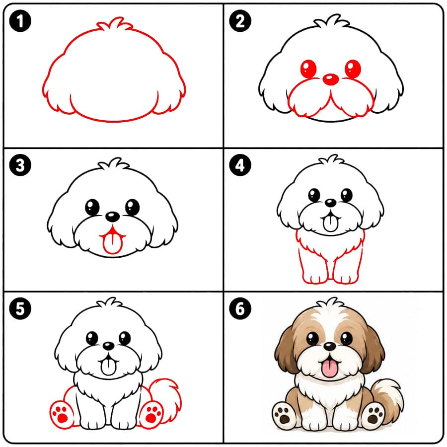 Shih Tzu tirant la langue dessin