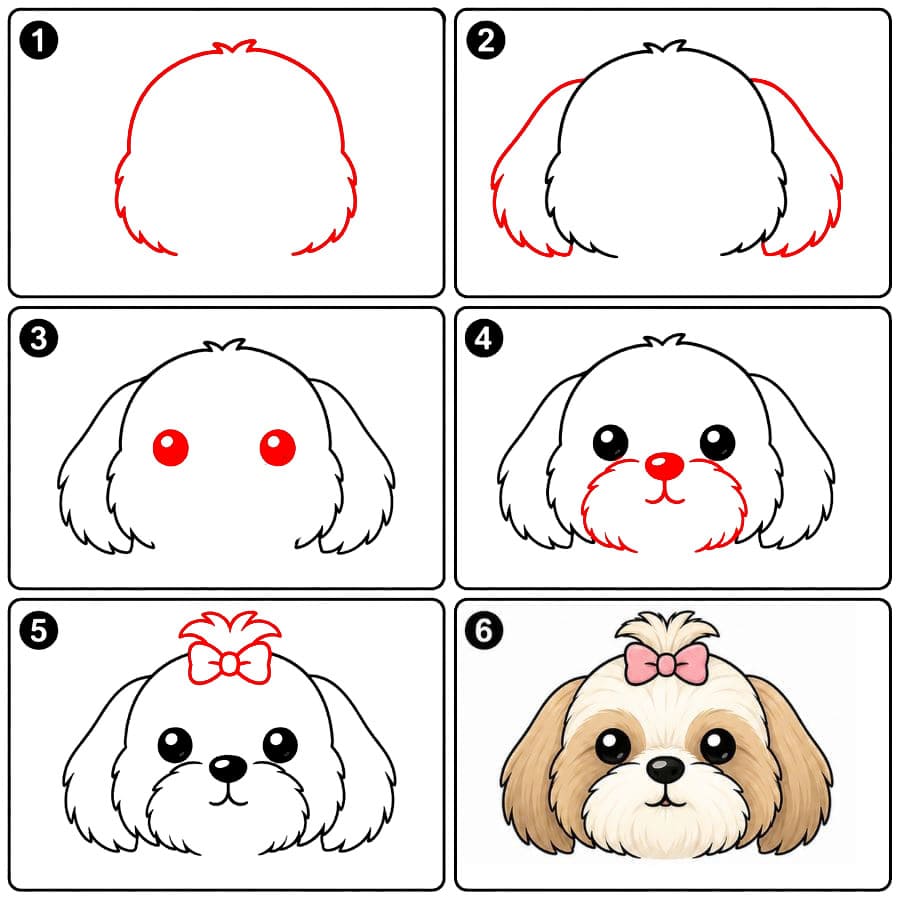 Visage de Shih Tzu tout doux dessin